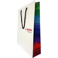 Bosch Car Service Matte Paper Bag with Rope Handle